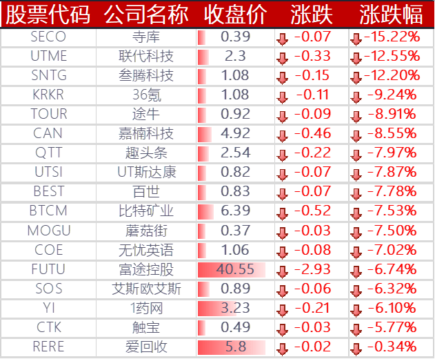 爱与陪伴的旅程，2024年美国大选日前的温馨日常