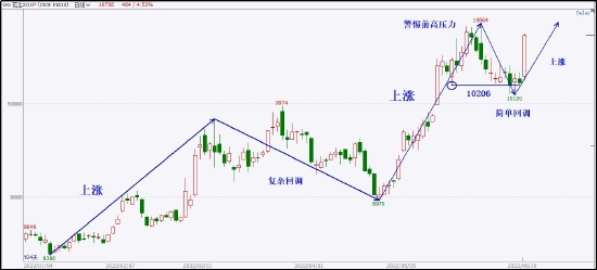 本月花生价格走势解析，多方观点交织的思考与最新市场动态