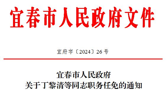 资阳市政府最新任免背后的温暖日常，友情、家庭与十一月的小幸运时刻