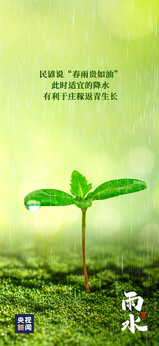 雨水节气下的励志之旅，把握变化，迎接挑战