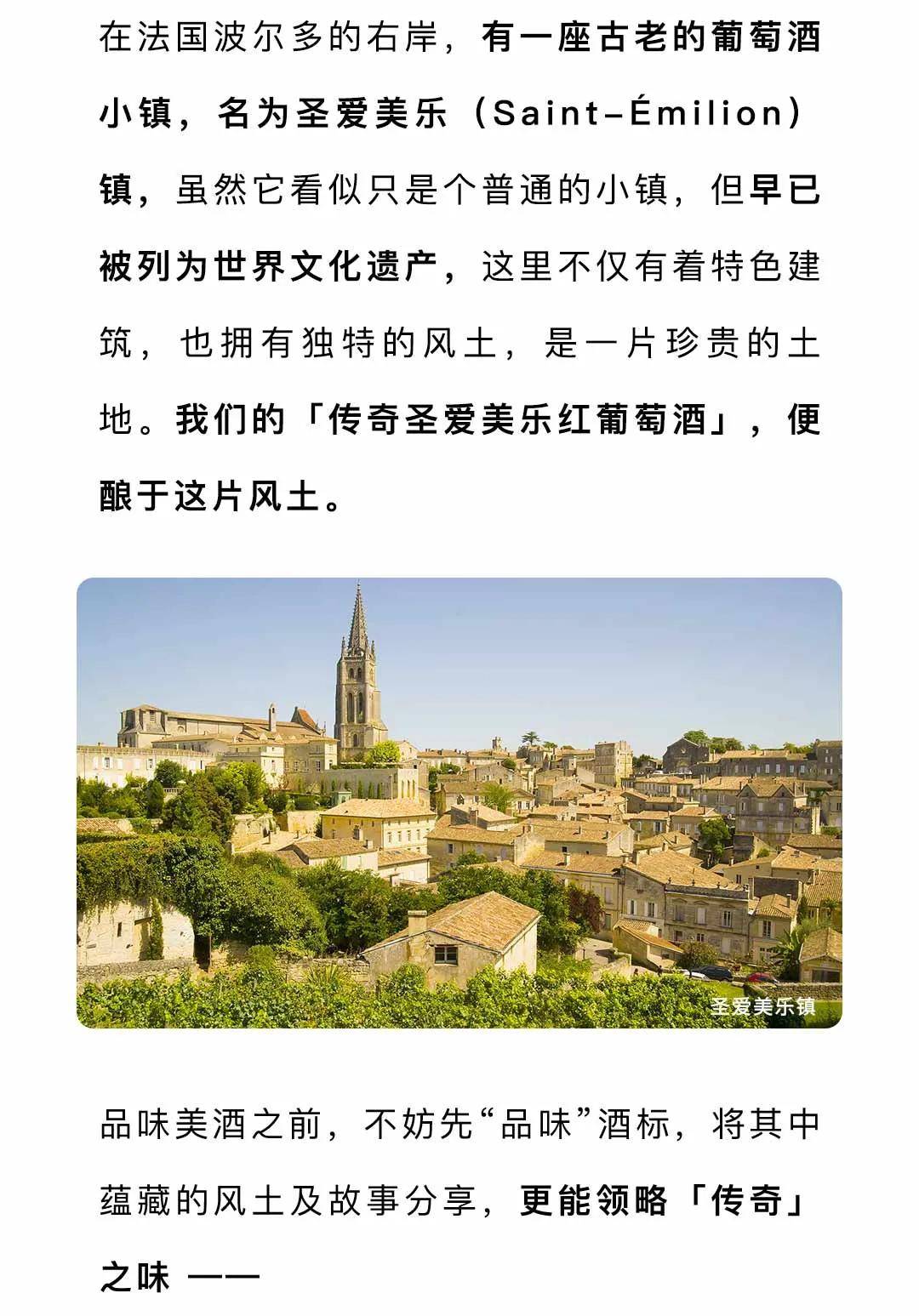 历史上的今日，安维汀最新价格揭秘，爱与陪伴的温馨故事在这一天绽放