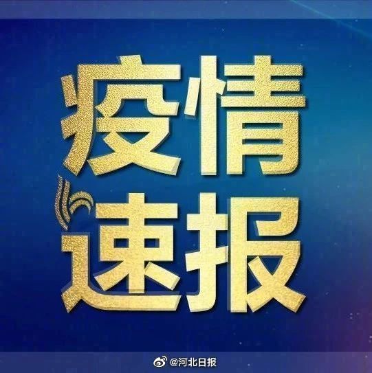 11月17日盐山招工盛况，最新岗位与崭新篇章