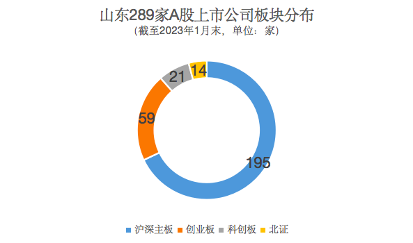 泰安股份最新消息获取指南，初学者与进阶用户必备指南（往年1月更新）