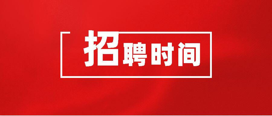 南岳招聘网独家揭秘，往年11月19日最新招聘内幕与机会限时发布！