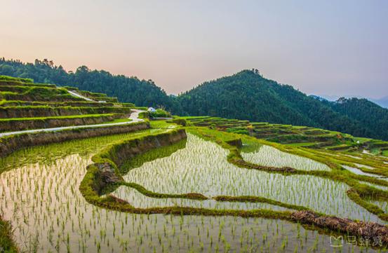 十一月监控之旅，探寻自然美景，寻觅内心平和与宁静的时刻