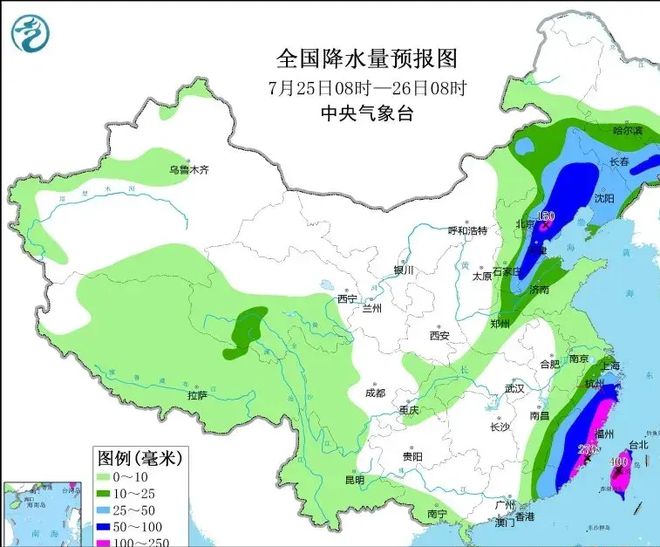 往年11月25日柳陂最新招标项目深度解析与介绍