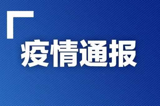 11月25日疫情最新动态解析与观看指南