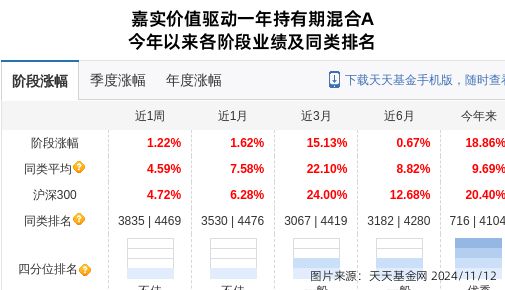 往年11月25日嘉实基金热门价值投资表现，机遇与挑战并存的投资之旅