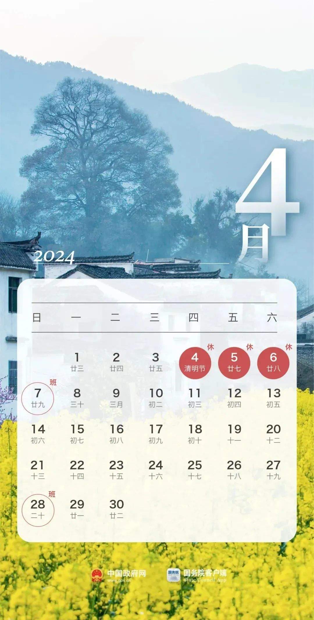 2024年11月28日洋葱行情深度洞察，开启新篇章