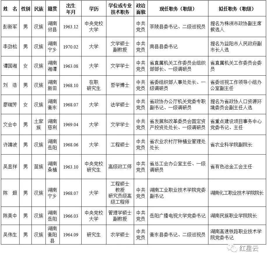 龙湾区政府最新任前公告发布，全面评测与详细介绍