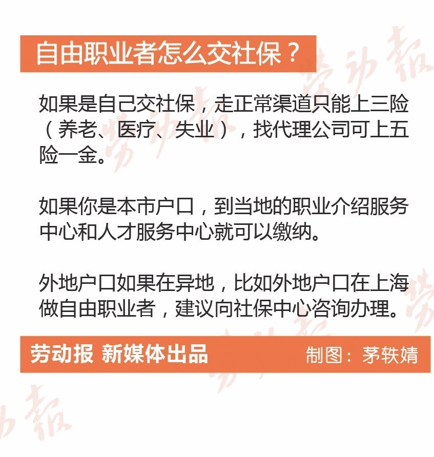 南京最新社保缴费基数详解，12月缴费标准重磅更新