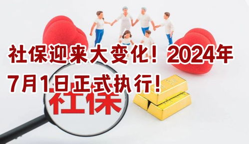 温馨时光揭秘，2024年12月1日的奇妙日常更新猜测