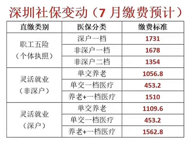 如何应对工资延迟到账？以2024年12月18日为观察点的解决方案