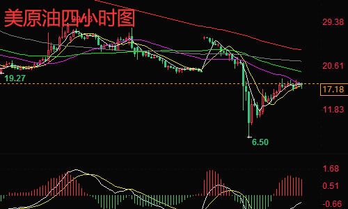 海鸥股份的日常趣事与情感纽带，温馨家庭故事之实时记录（2024年12月27日）