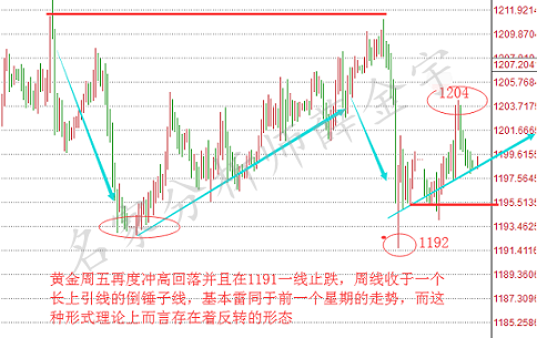 猪白腰价格走势解析，最新行情、趋势预测一网打尽！