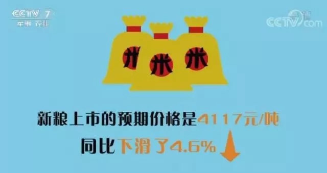 同花顺大米行情深度解析，市场走势、价格动态一网打尽！