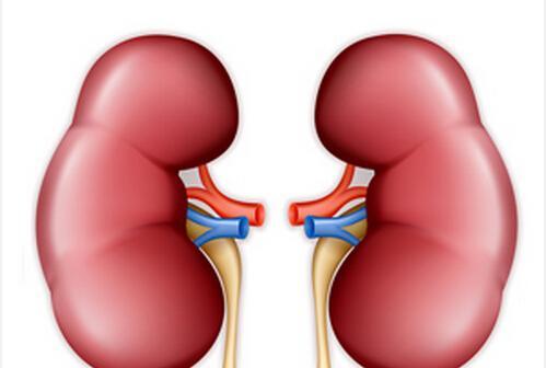 会突发肾炎吗男性，男人会突然肾虚吗 