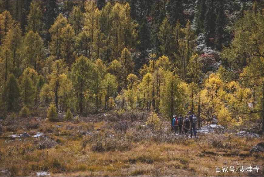 秋冬季节山里探险秘籍，秘境之旅必知攻略！