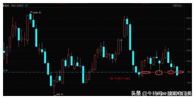 股票与指数的区别揭秘，投资背后的两大核心要素对比解析