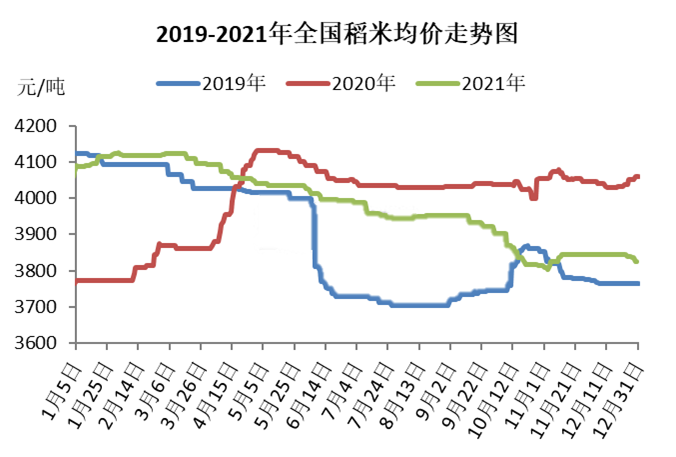 今日稻谷市场走势分析，最新消息与预测