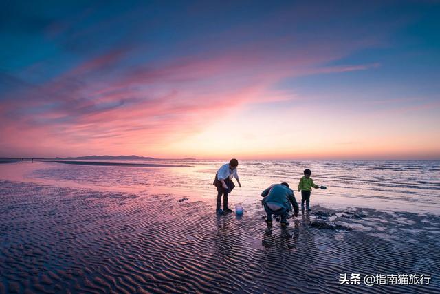 大连亲子游攻略，玩转海滨城市的精彩之旅！