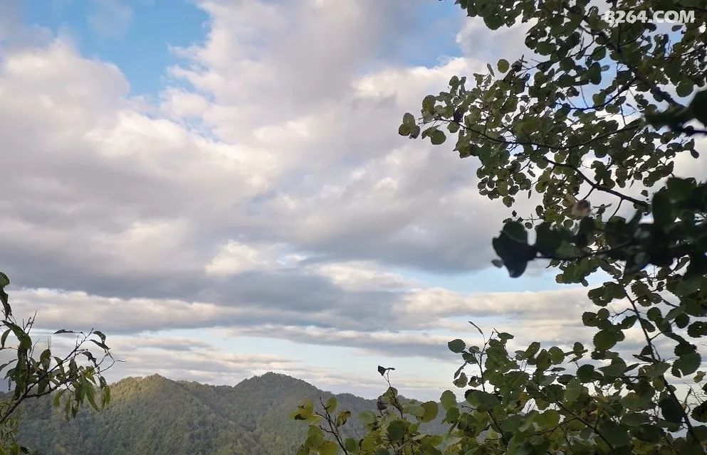 全球高峰排行榜，一览众山之巅